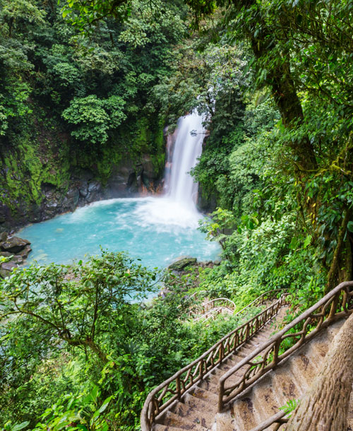 Costa Rica Rainforest