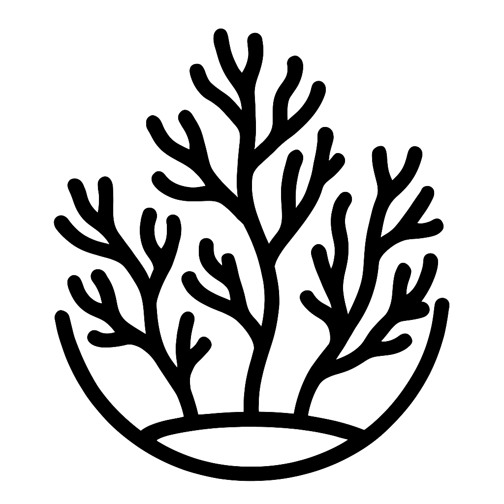 Hydrating Toner Lotus Zephyr